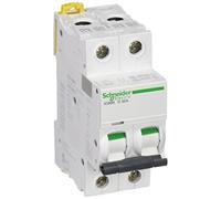 Schneider Electric Interruptor automático magnetotérmico iC60N A9F75232 2P 32A Curva D