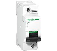 Schneider Electric A9N18358 Interruptor Automático Magnetotérmico C120N, 1P, 100A, curva C