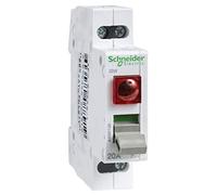 Schneider Electric A9S61220 Interruptor con Piloto 2P 20A, 250V