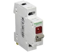 Schneider Electric A9S61232 Interruptor con Piloto 2P 32A, 250V