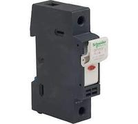Schneider Electric DF101V Tesys Seccionador Portafusible con Señalización 1P 32A, Fusible 10 X 38 mm