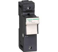 Schneider Electric Seccionador portafusible DF221 1P 125 A fusible 22 x 58 mm