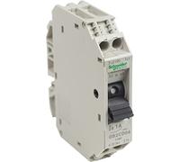 Schneider Electric GB2CD06 Tesys Gb2, Disyuntor Magnetotérmico, 1P + N, 1 A, Id = 14 A