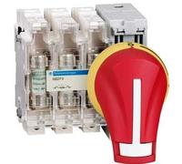 Schneider Electric GS2AH520 TeSys GS Maneta Giratoria Exterior Frontal, Calibre 32-63 A, Rojo