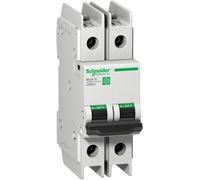 Schneider Electric Interruptor Automático - M9F42210