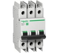 Schneider Electric Interruptor Automático - M9F42310