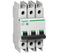 Schneider Electric Interruptor Automático - M9F42315