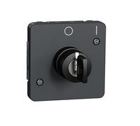 Schneider Electric Interruptor de llave 2 posic. IP55 Gris
