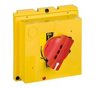 Schneider Electric LV432599 Mando Rotativo Directo, Bloqueable, Empuñadura Roja