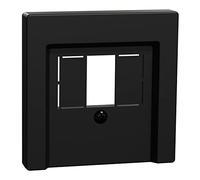 Schneider Electric MEG4250-0403 - Placa central para TAE/audio/USB, color negro mate