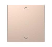 Schneider Electric MTN5215-6051 Tecla de Pulsación Simple para Persianas de La Gama D-Life, Champagne