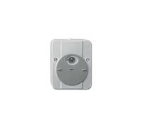 Schneider Electric MTN544894 Argus Conmutador Fotosensible con Retardo, Gris Claro
