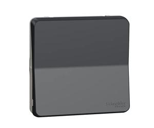 Schneider Electric MUR35020 Cruzamiento IP55, Gris