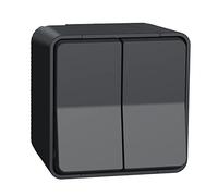 Schneider Electric MUR35022 Doble Conmutador Superficie, IP55, Gris