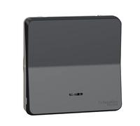 Schneider Electric MUR35025 Conmutador con LED, IP55, Gris