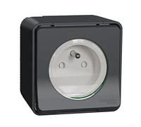 Schneider Electric MUR36029 Mureva Styl - Doble PC 2P+T schuko precableado horizonte - IP55 IK08 - gris DBLE PC 2P+T ALL gris S.
