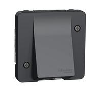 Schneider Electric - Mureva Styl - Salida de Cable - composable - IP55 IK08 - Conexión automática - Gris - MUR37931