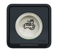 Schneider Electric Mureva Styl - Toma de corriente 2P+T reforzada - Empostre IP55 - IK08 - EV - Gris - MUR36011