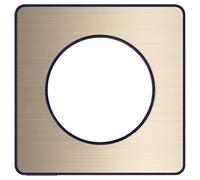 Schneider Electric Odace Touch S540802L Odace Touch - Placa de placa (1 orificio), color bronce