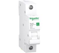 Schneider Electric R9F23120 Resi9 - Disyuntor (1 pin) | 20A, B-Característica, 6 kA, 1 unidad