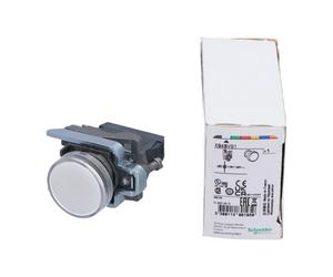 Schneider Electric XB4BVG1 New NFP