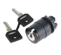 Schneider Electric ZB5AG4 Cabeza Selector con llave 2 posiciones, Ø 22