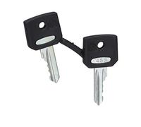 Schneider Electric ZBG455 Juego de 2 Llaves N 455