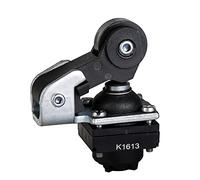 Schneider Electric ZCKD21 Leva y Roldana Plástico, 1 Sentido Ataque