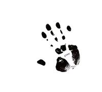 Schnitzler, Conrad - Con 84