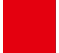 Schnitzler, Conrad - Rot [Vinilo]