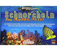Schnorcheln im Roten Meer: Auf vergnügliche Weise, nur mit Tauchermaske und Flossen schwimmend, lernt man die Fische und Wirbellosen dieses Meeres kennen