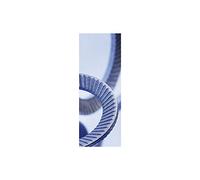 Schnorr 881200040040000 Seguridad Scheibe S M 4 Muelle Acero Blank, Plata
