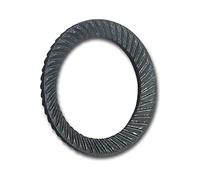 SCHNORR 881200040160000 - Disco de seguridad S M16, muelle de acero, color plateado