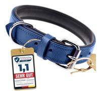 Schnüffelfreunde Collar de Perro de Cuero (L - 36-45cm, Azul)