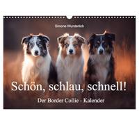Schön, schlau, schnell! - Der Border Collie - Kalender (Wandkalender 2026 DIN A3 quer), CALVENDO Monatskalender: Border Collies: Geniale Pfoten und kluge Köpfe!