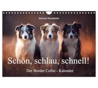 Schön, schlau, schnell! - Der Border Collie - Kalender (Wandkalender 2026 DIN A4 quer), CALVENDO Monatskalender: Border Collies: Geniale Pfoten und kluge Köpfe!