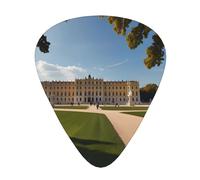Schönbrunn Palace Prints - Juego de 12 púas de guitarra con 3 grosores diferentes, adecuadas para guitarra eléctrica y acústica