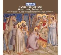 Schola Gregoriana Di - Resonet Intonet