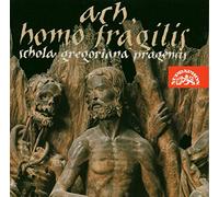 Schola Gregoriana Pragensis - Ach, Homo Fragilis