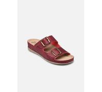 Scholl ABERDEEN 37 Vino