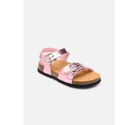 Scholl ADALENE COLLECTION 24 Rosa