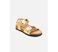 Scholl ADALENE COLLECTION 25 Oro y bronce