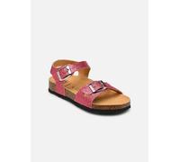 Scholl ADALENE COLLECTION 25 Rojo