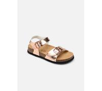 Scholl ADALENE COLLECTION 25 Rosa