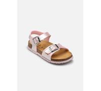 Scholl ADALENE COLLECTION 26 Rosa