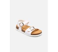 Scholl ADALENE COLLECTION 27 Blanco