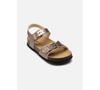 Scholl ADALENE COLLECTION 27 Oro y bronce