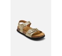 Scholl ADALENE COLLECTION 27 Oro y bronce