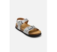 Scholl ADALENE COLLECTION 33 Plateado