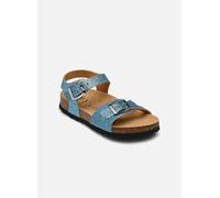 Scholl ADALENE COLLECTION 34 Azul